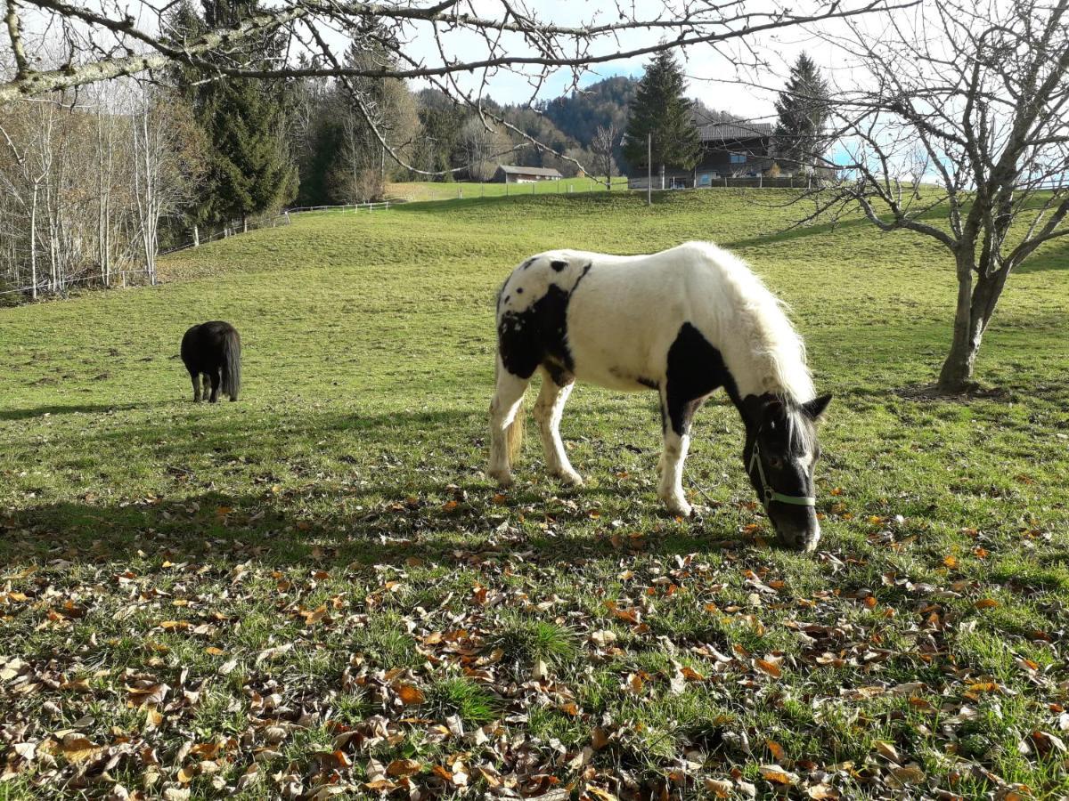Haus Hagspiel Farma Hittisau
