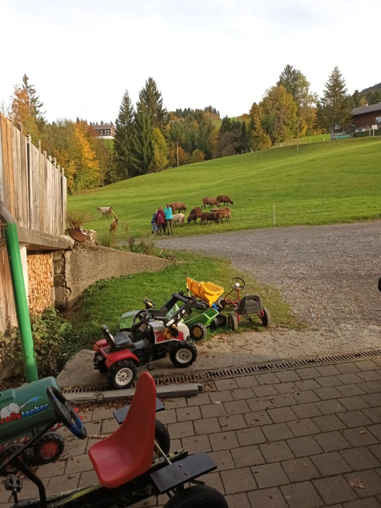 Haus Hagspiel Farma