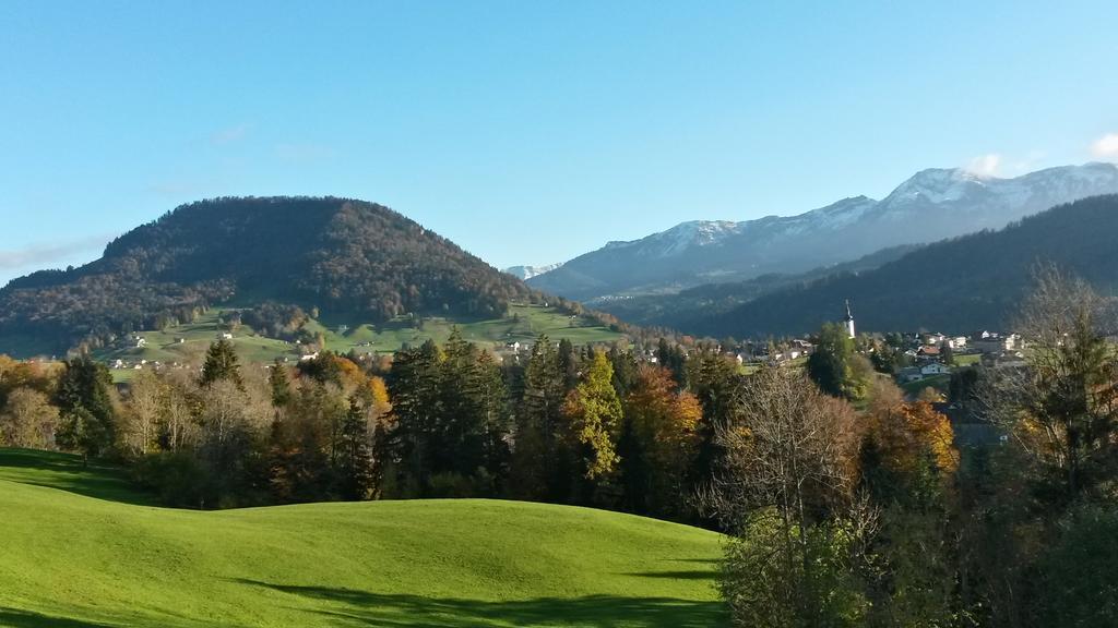 Haus Hagspiel * Hittisau