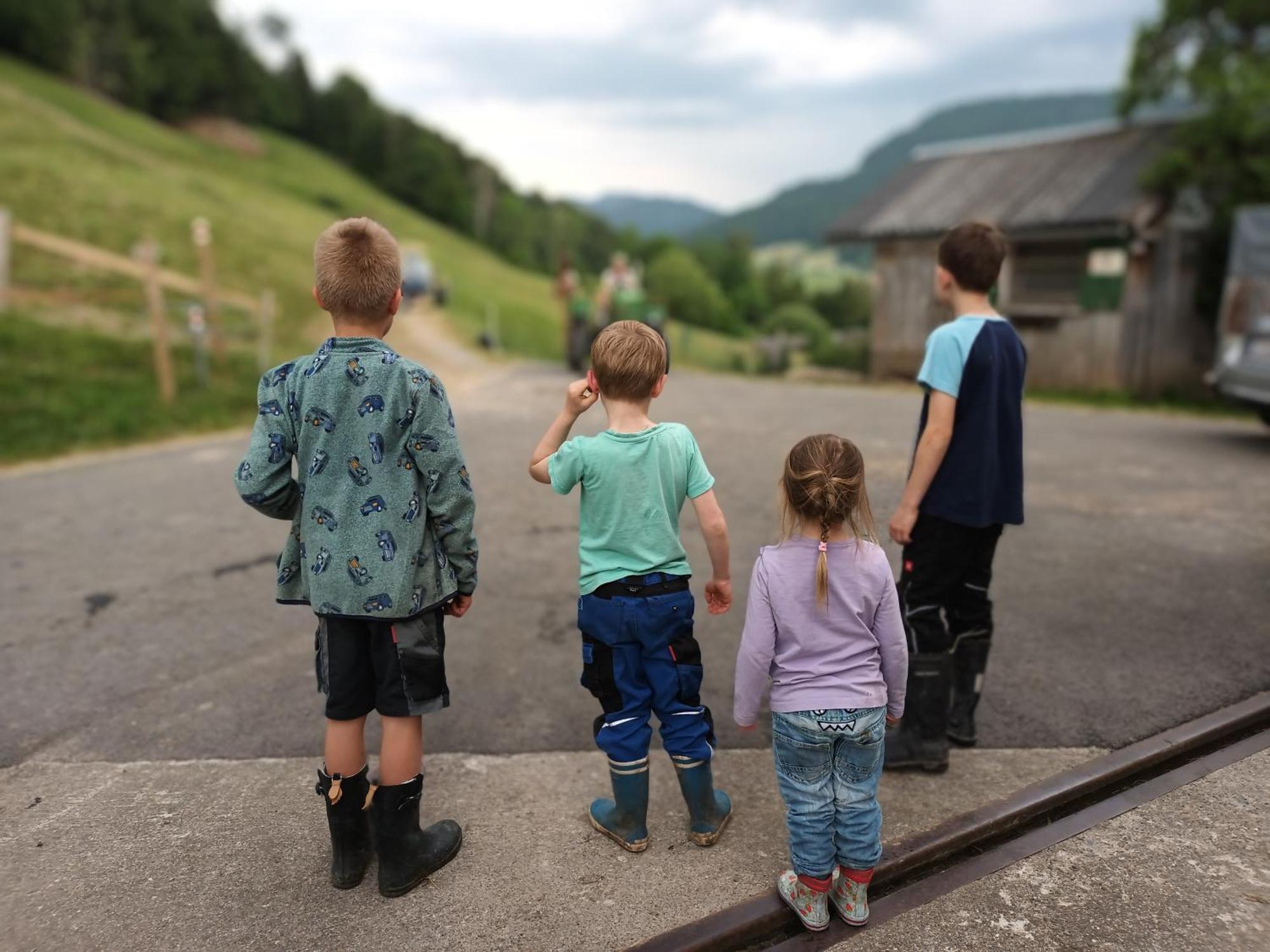 Haus Hagspiel Farma *
