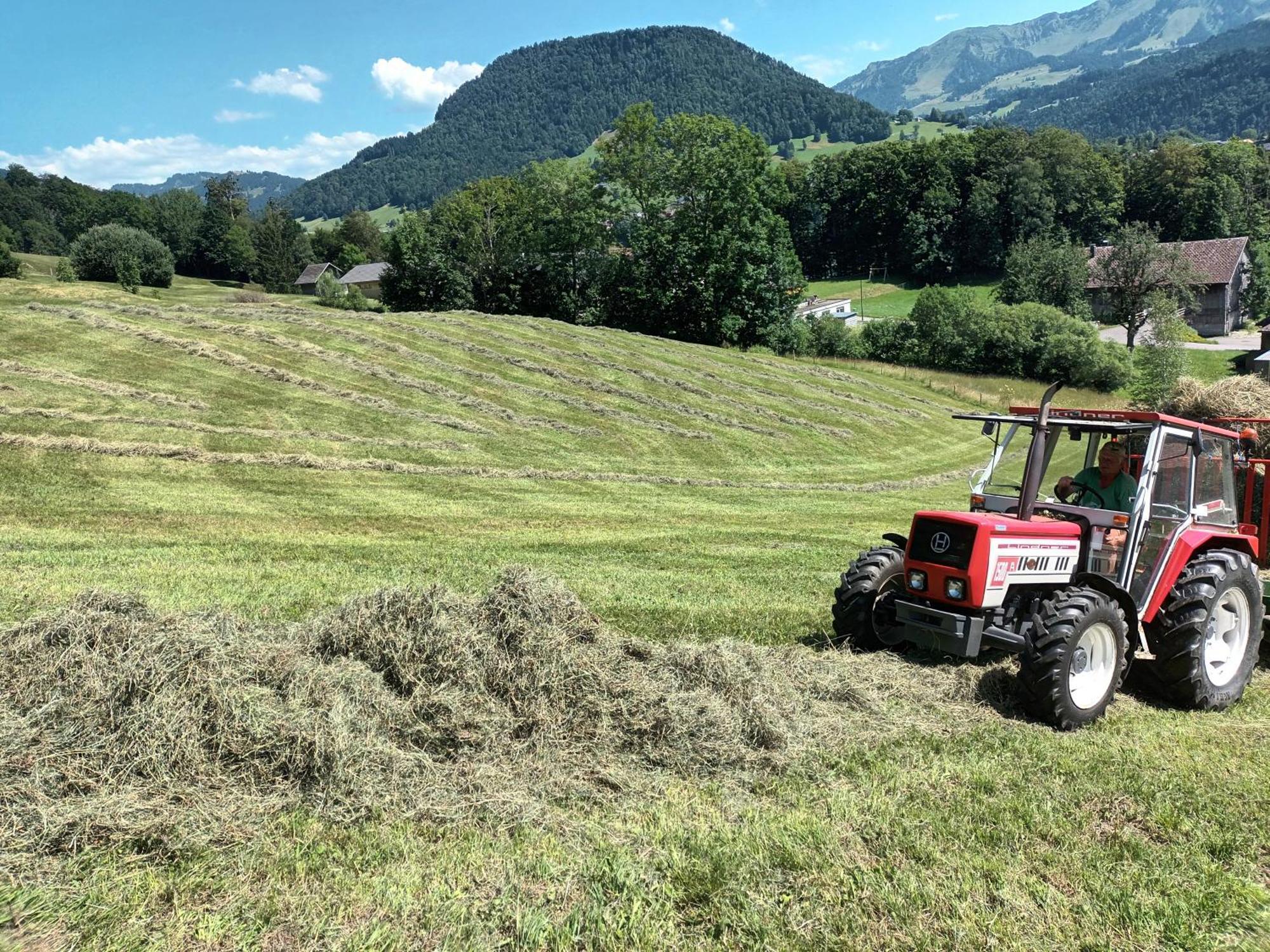 Haus Hagspiel Farma *
