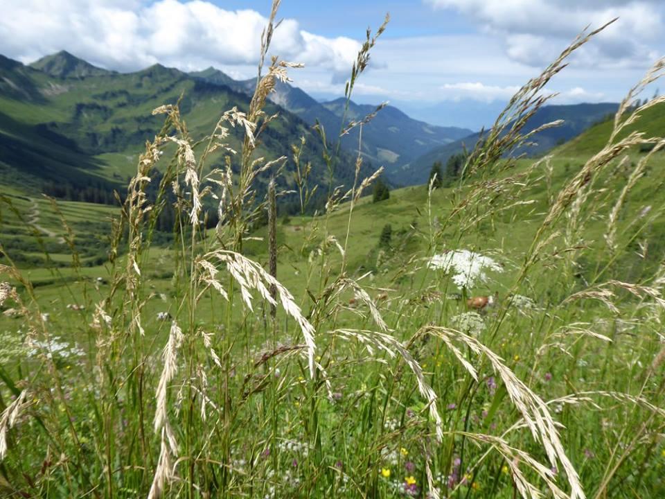 Haus Hagspiel