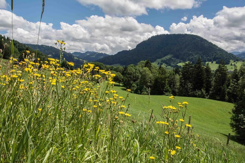 Haus Hagspiel Farma Hittisau