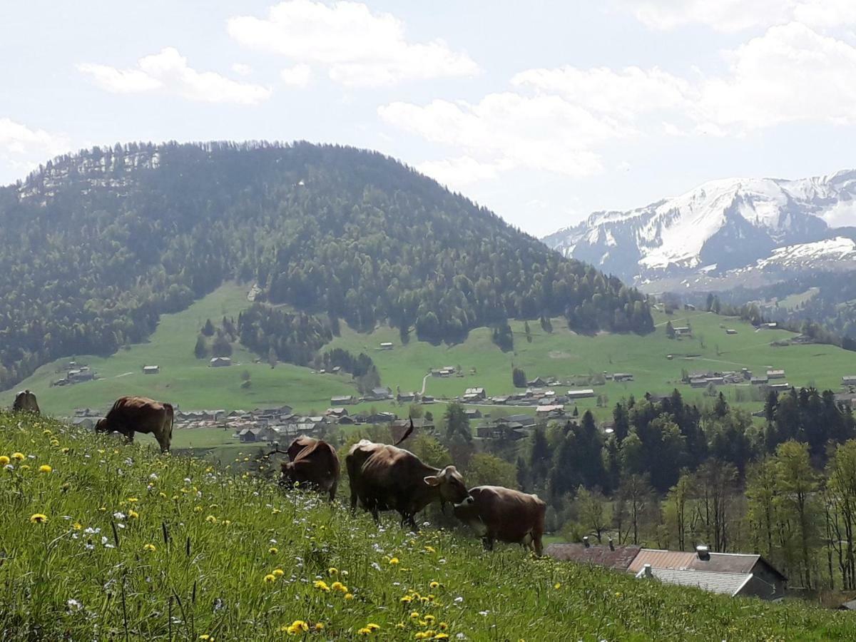 Farma Haus Hagspiel Hittisau