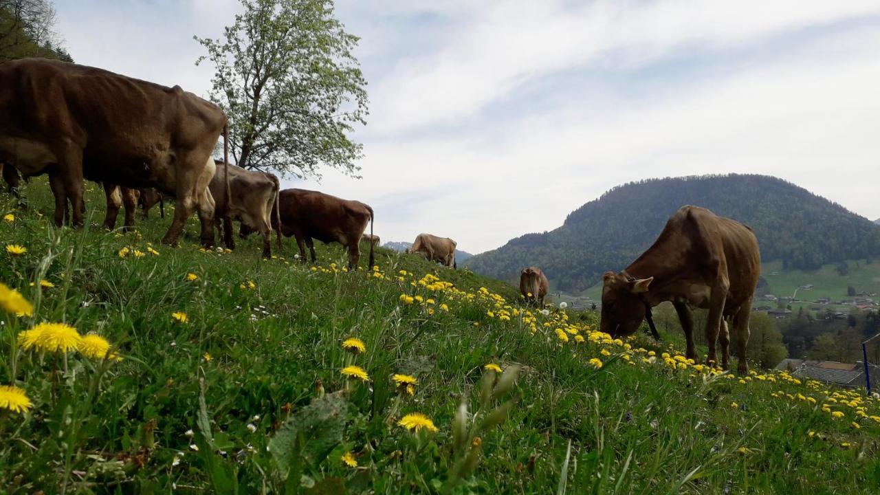 Farma Haus Hagspiel